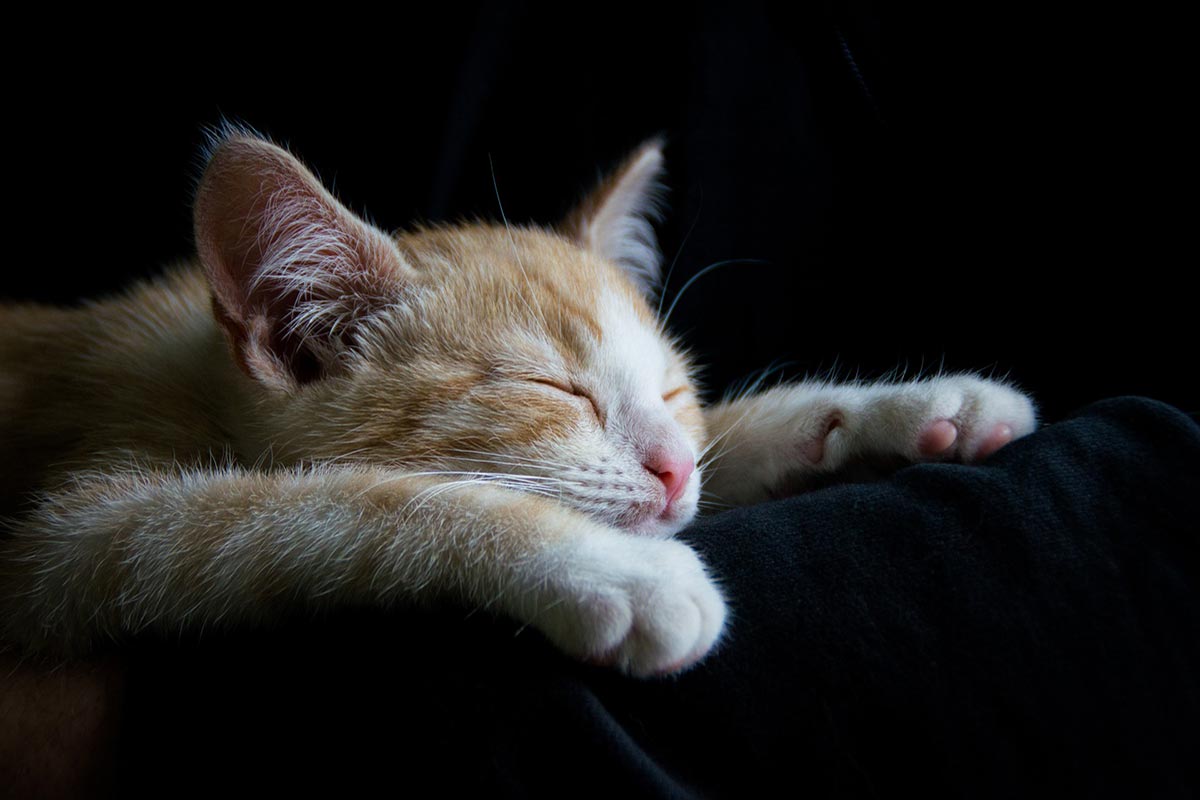 Idées reçues sur l'insomnie