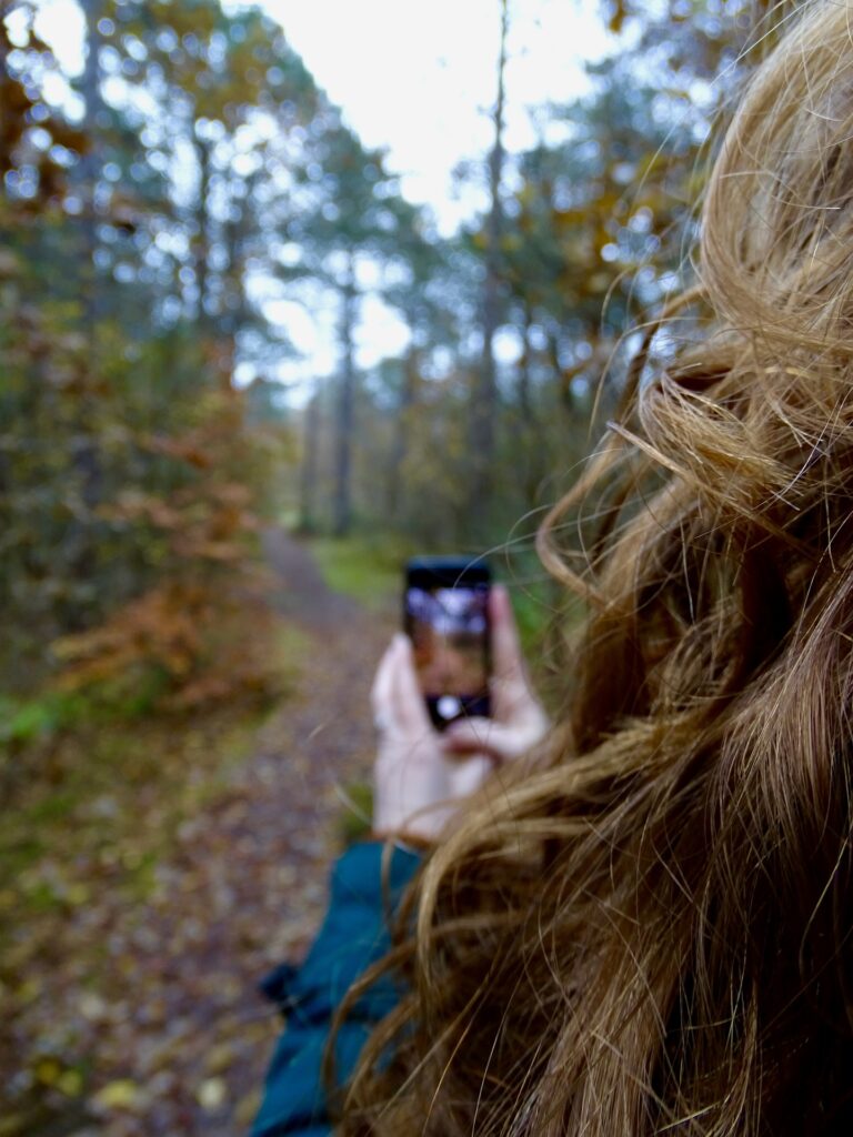 champignon et téléphone