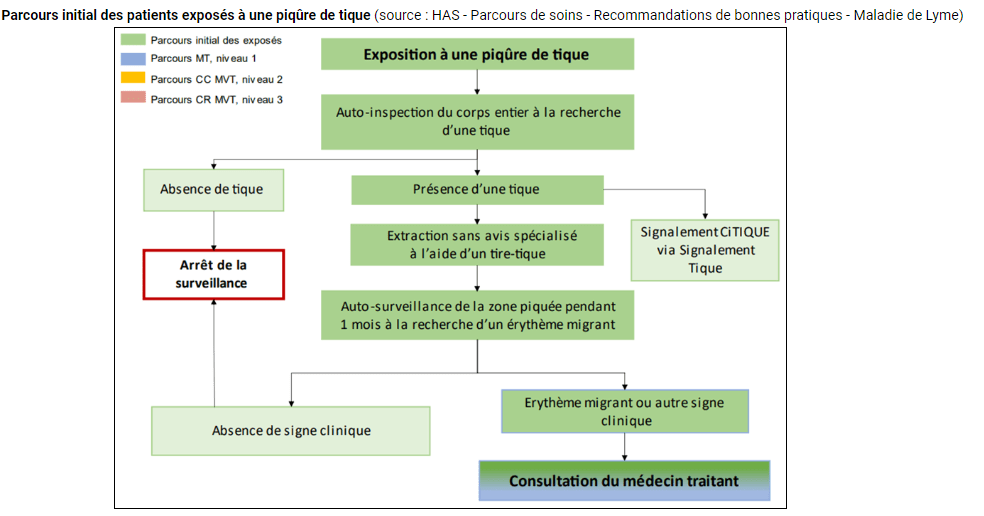 prise en charge d'une piqure de tique