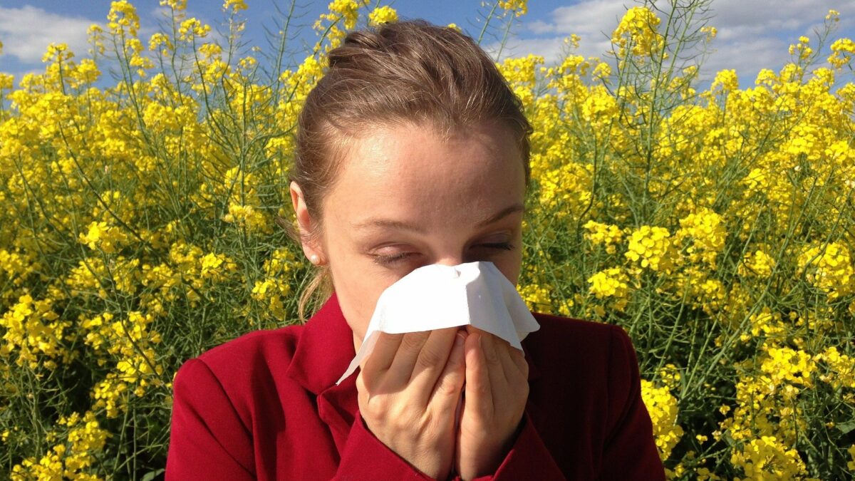 Les allergies